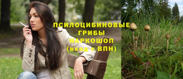 гашик Фёдоровский