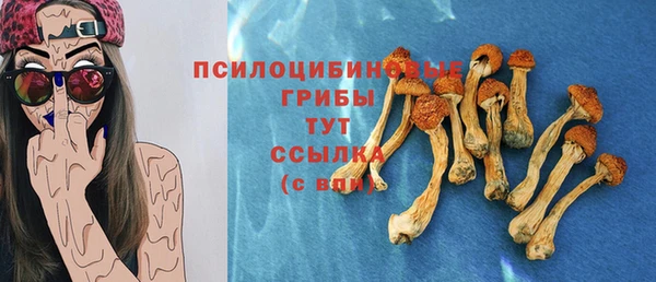 гашик Фёдоровский