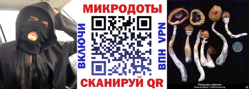 Купить  Сатка  Галлюциногенные грибы GOLDEN TEACHER